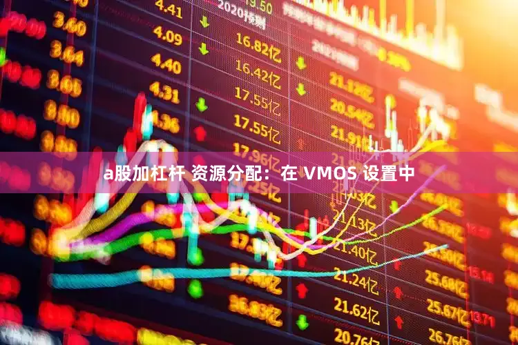 a股加杠杆 资源分配:在 VMOS 设置中