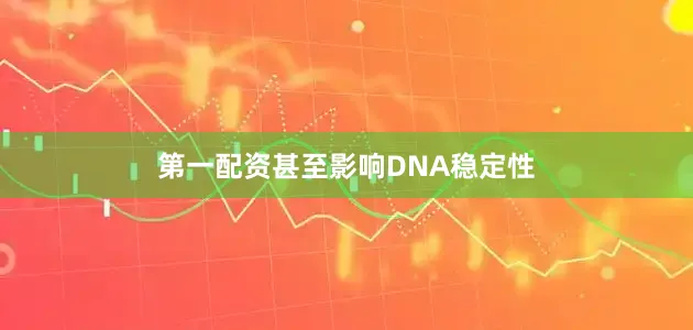 第一配资甚至影响DNA稳定性