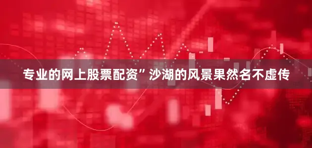 专业的网上股票配资”沙湖的风景果然名不虚传