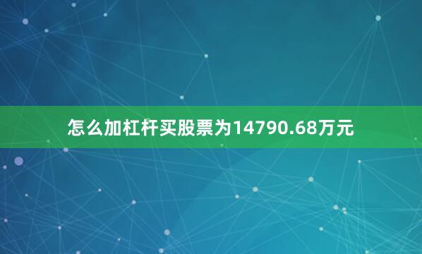 怎么加杠杆买股票为14790.68万元