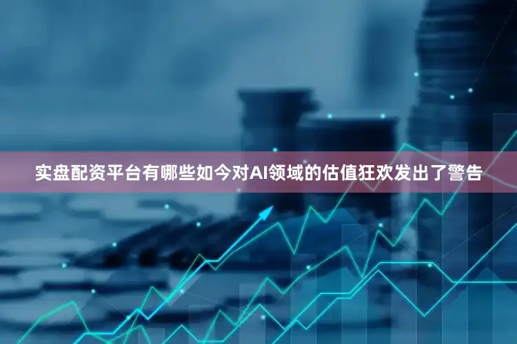 实盘配资平台有哪些如今对AI领域的估值狂欢发出了警告